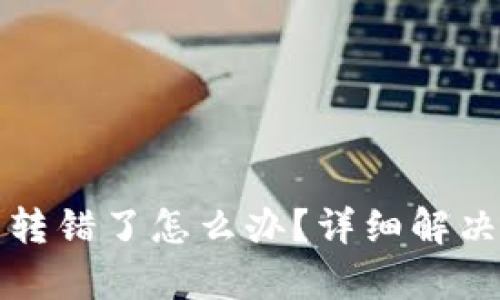 TP钱包币转错了怎么办？详细解决方案解析