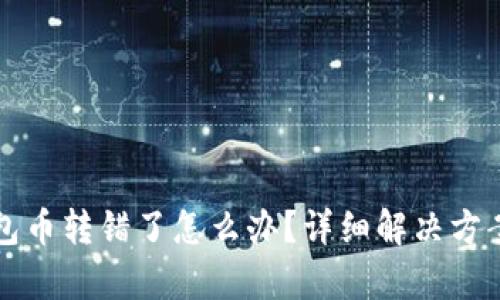 TP钱包币转错了怎么办？详细解决方案解析