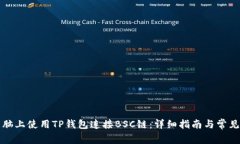 如何在电脑上使用TP钱包连接BSC链：详细指南与常